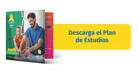 Malla-curricular-maestria-en-discapacidad