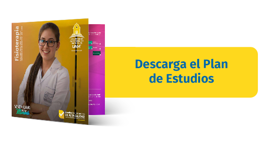malla-curricular-doctorado-en-ciencias-cognitivas