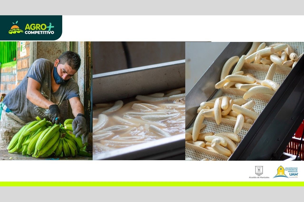 Agro Más Competitivo