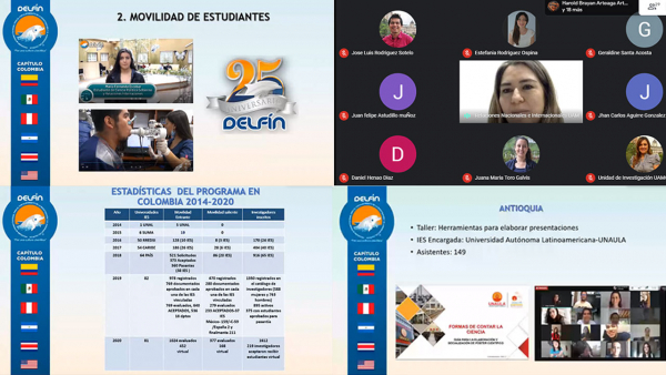 Delfin- investigación Delfin- investigación