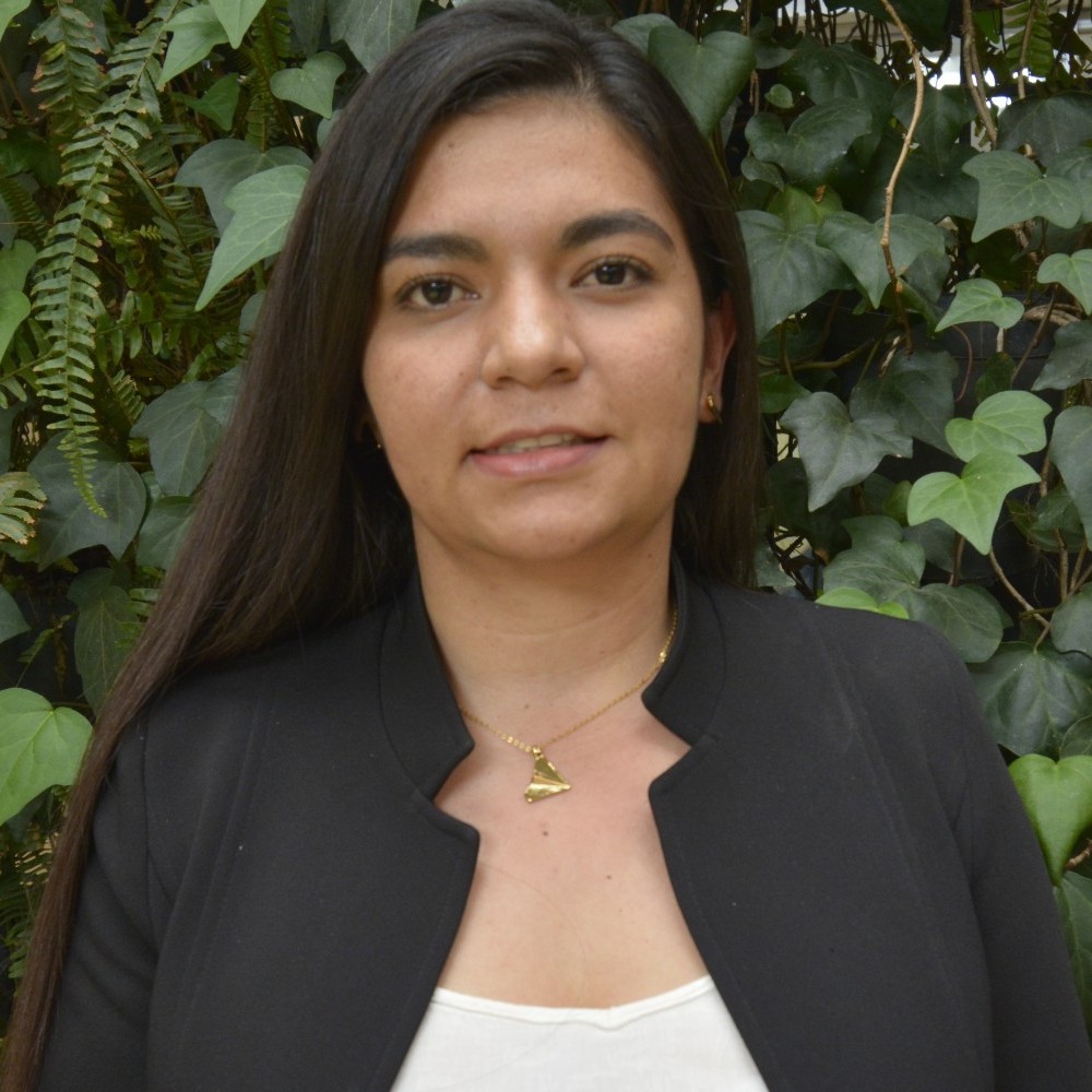 diana María Mendoza ríos 
