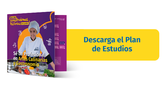 Plan de estudios Artes Culinarias y Gastronomía