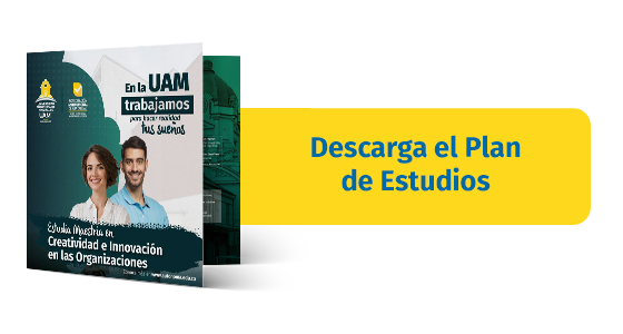 Plan de Estudios Creatividad e Innovación en las Organizacionos 