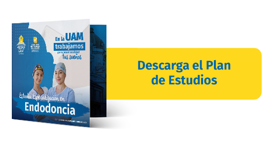 Plan-Estudio-Endodoncia