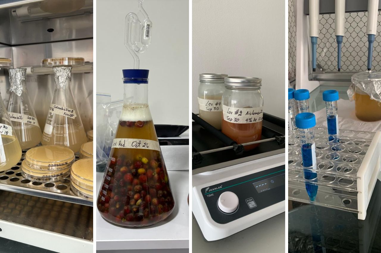 Desde el Doctorado en Ingeniería investigan sobre Cafés Especiales. Desde el Doctorado en Ingeniería investigan sobre Cafés Especiales.