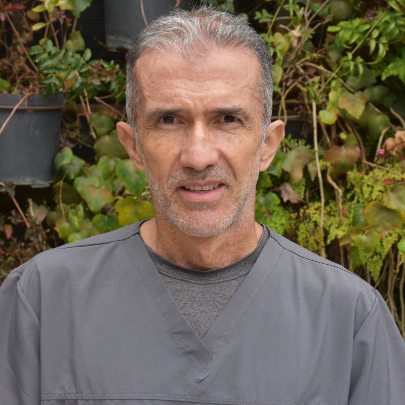 Docente Departamento Salud Oral Juan Guillermo López Uribe