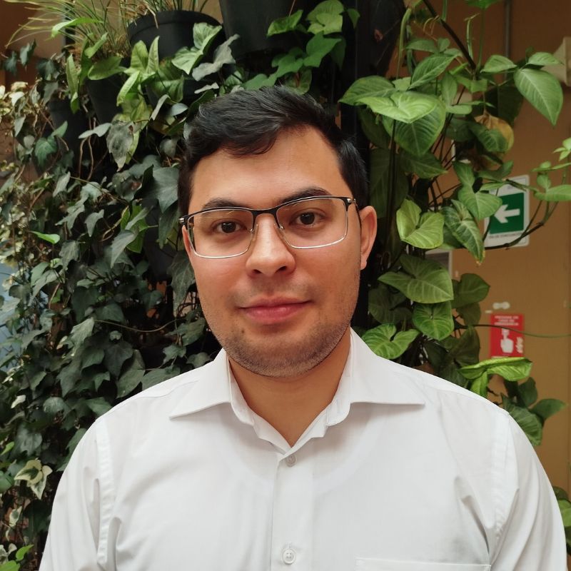 Docente Sebastián Mendoza Rincón 