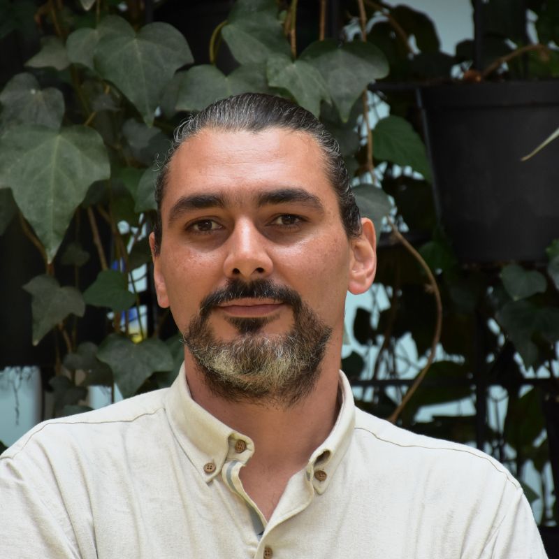 Álvaro Alexander Vélez, Docente de Ciencia Política