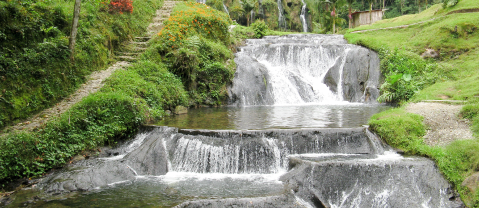 Risaralda