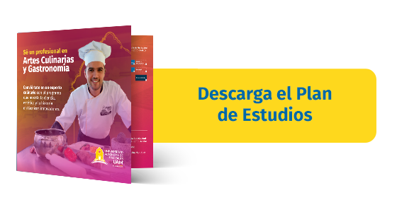 Plan de estudios Artes Culinarias y Gastronomía