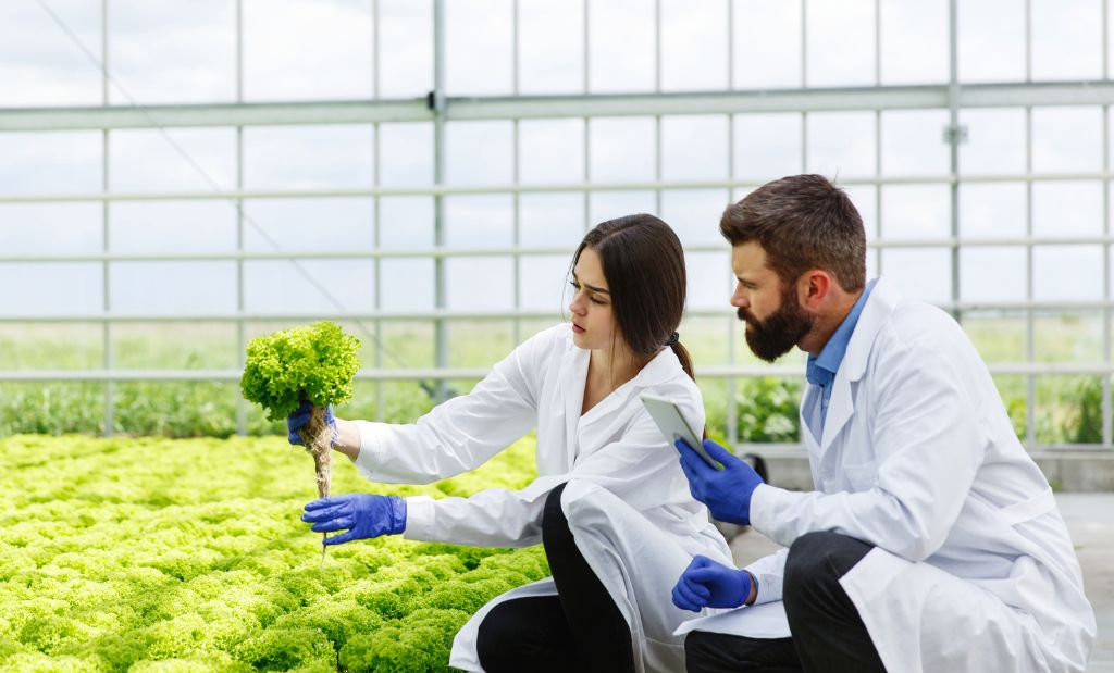 Fortalecimiento de las capacidades de los actores del corredor Puerto Vega – Teteye.