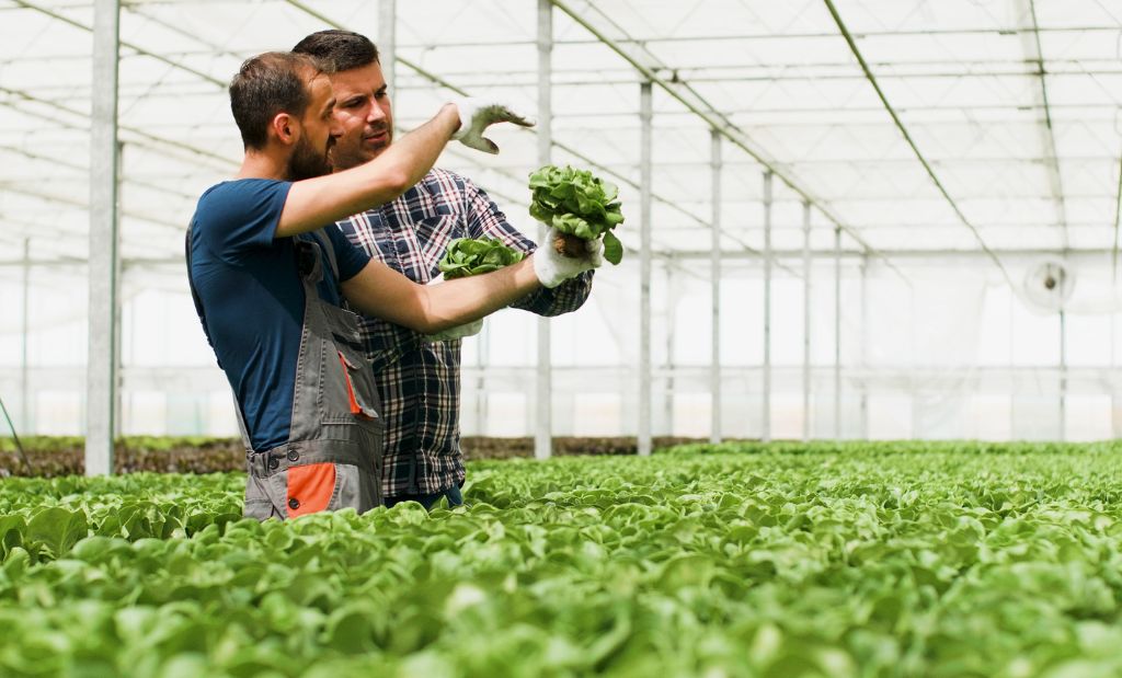 Implementación y seguimiento al Sistema de gestión Ambiental en la UAM.