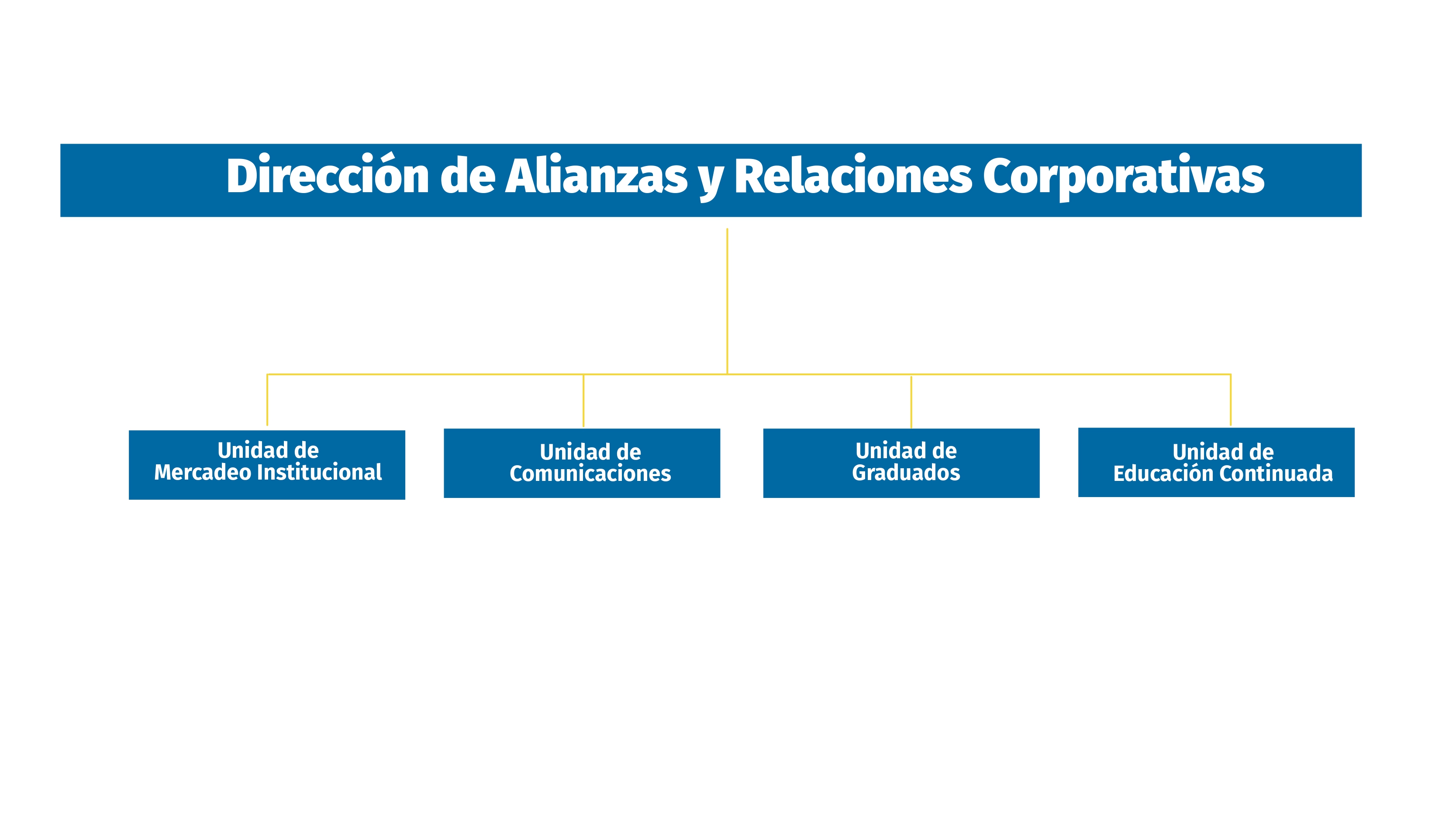 Organigrama Dirección de Alianzas y Relaciones Corporativas UAM