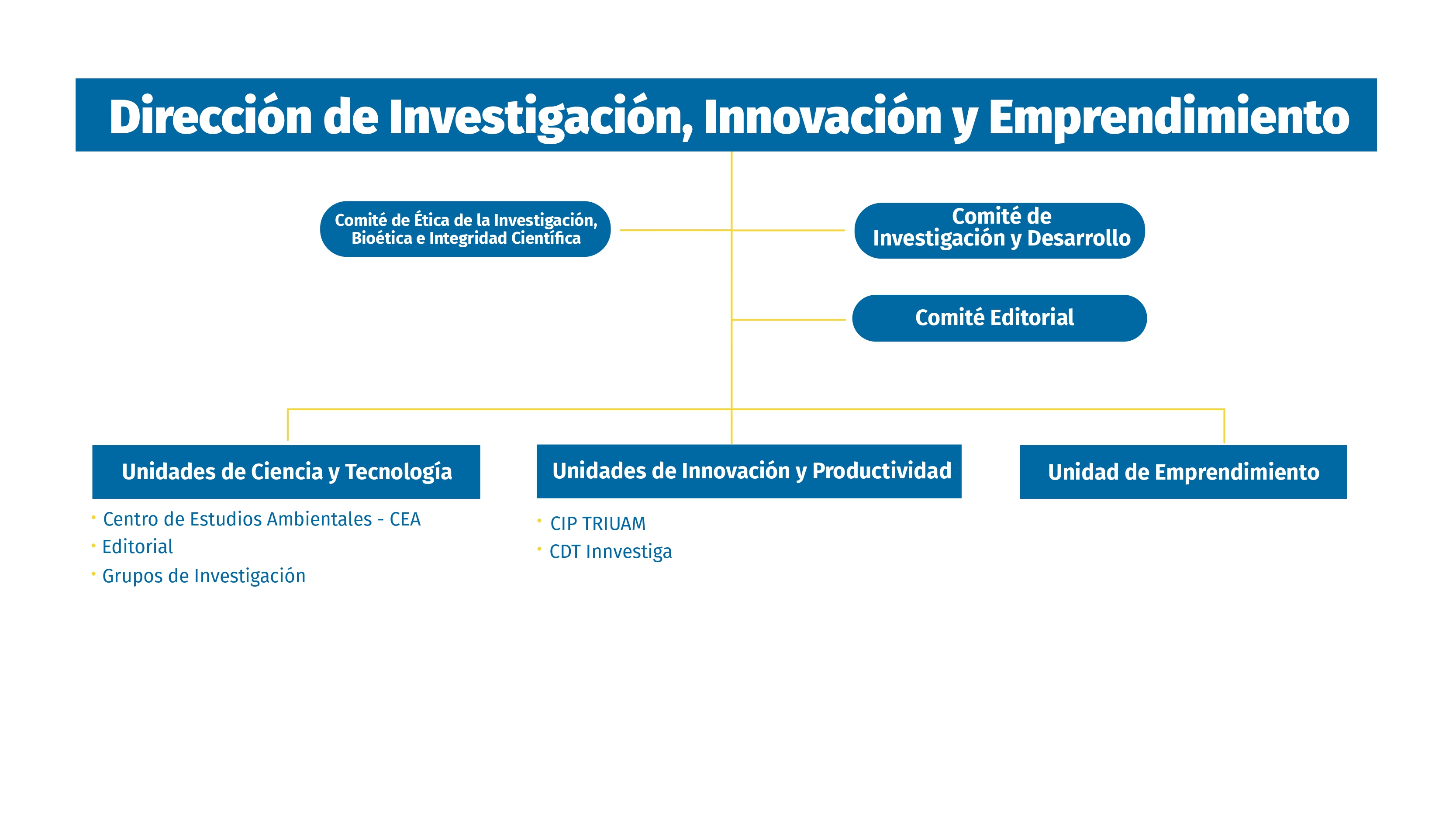 Organigrama Dirección de Investigación, Innovación y Emprendimiento UAM