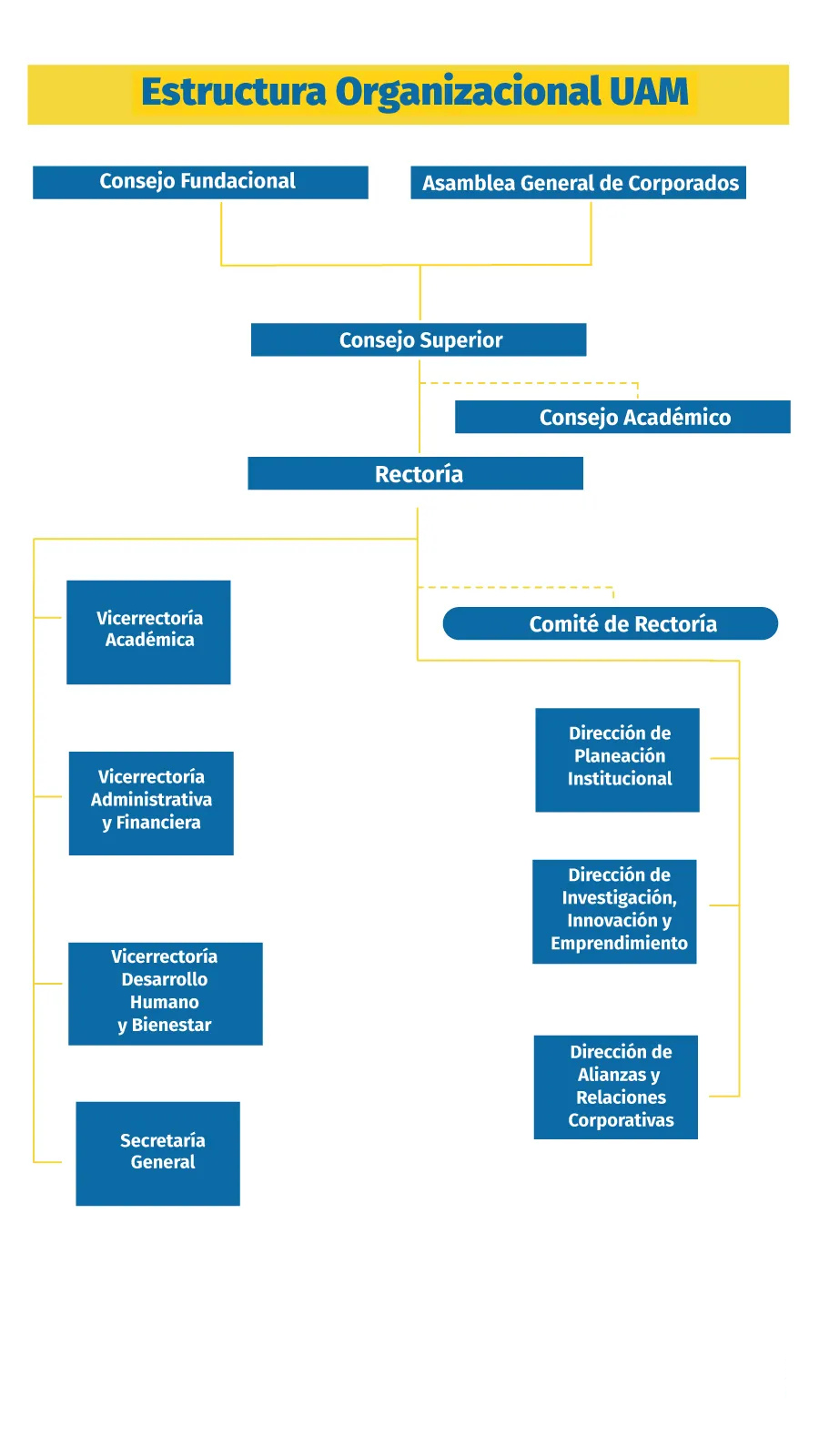 Estructura organizacional UAM