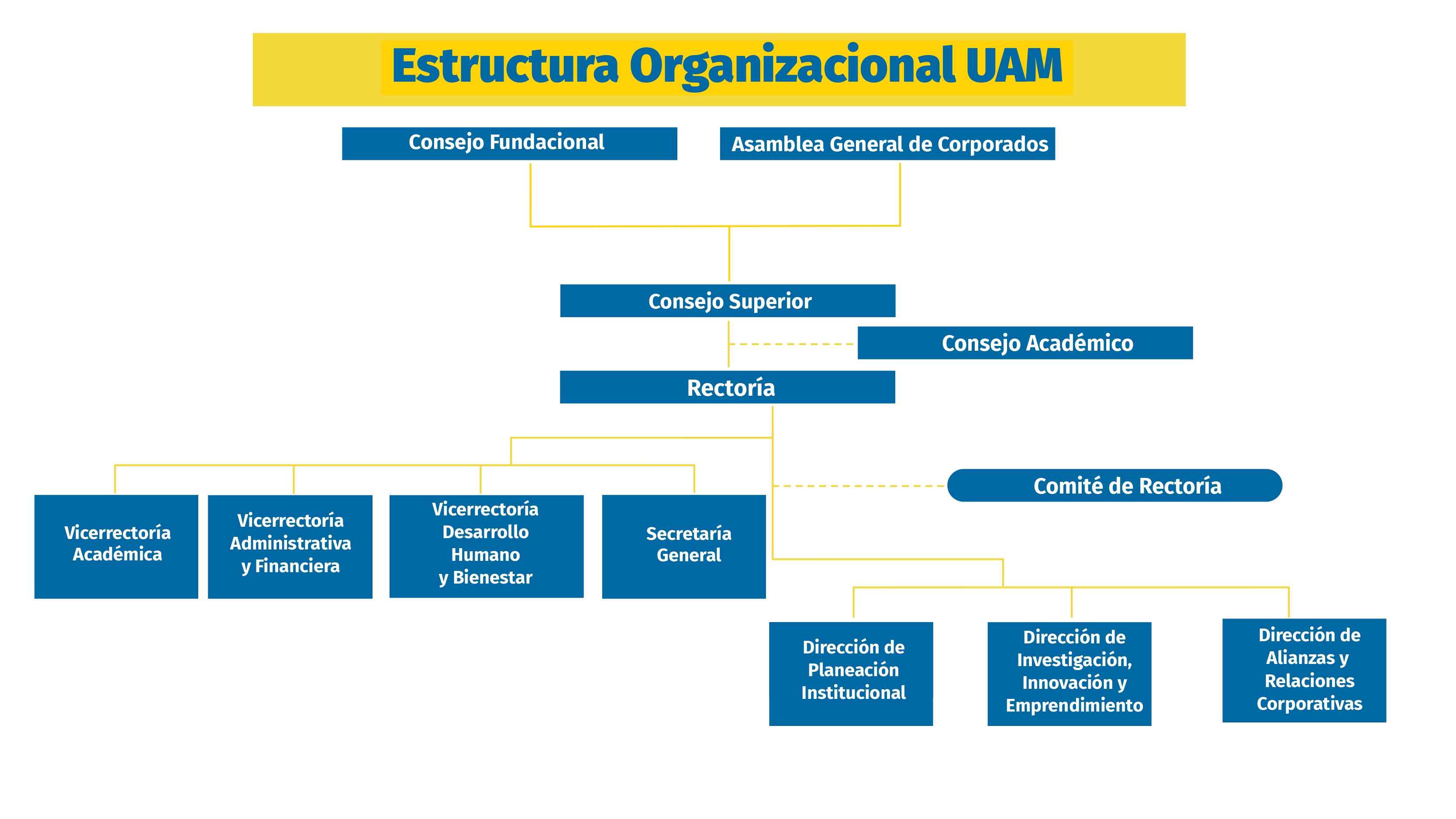 organigrama Universidad Autónoma de Manizales