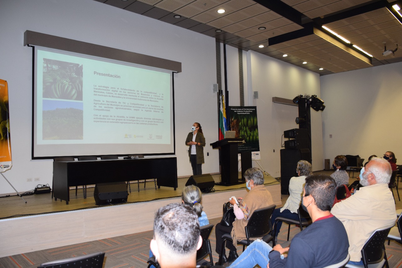 Cadenas agroindustriales uam