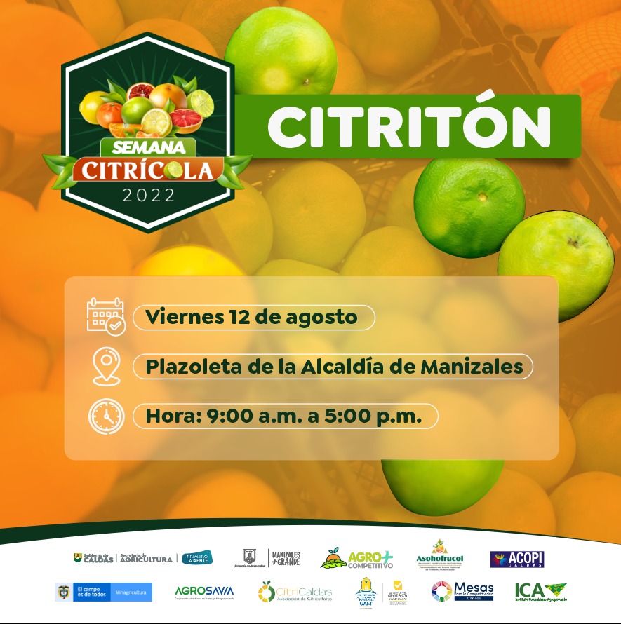 Citritón