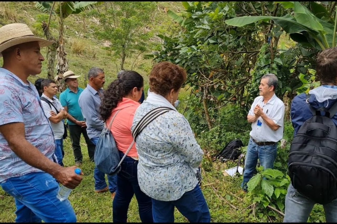 Día en el campo