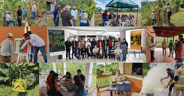 Servicios de Extensión Agropecuaria