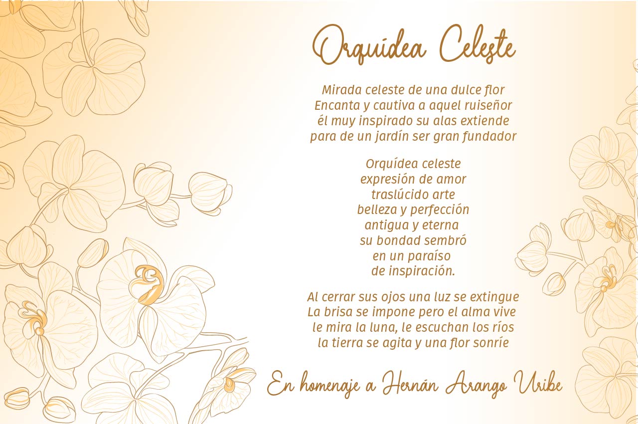 canción Orquídea Celeste