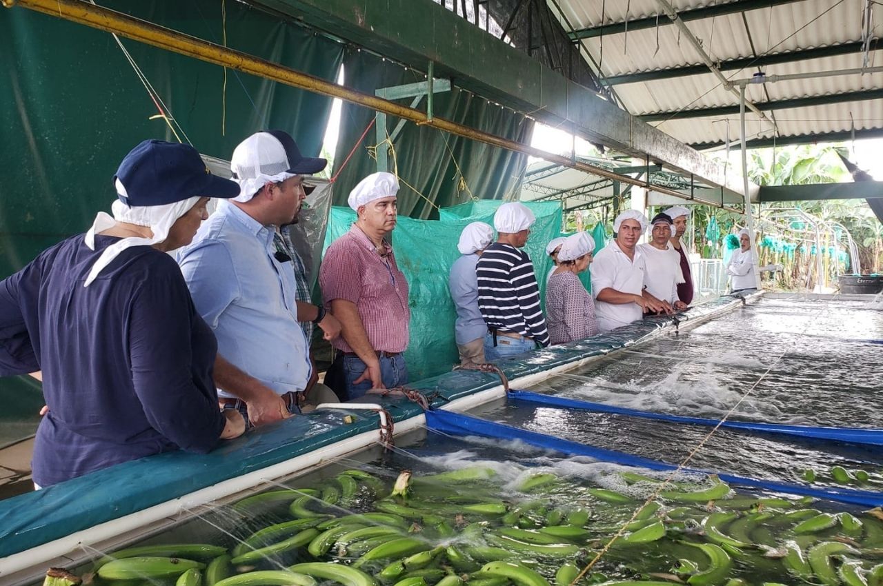 Intervención de la misión en Urabá