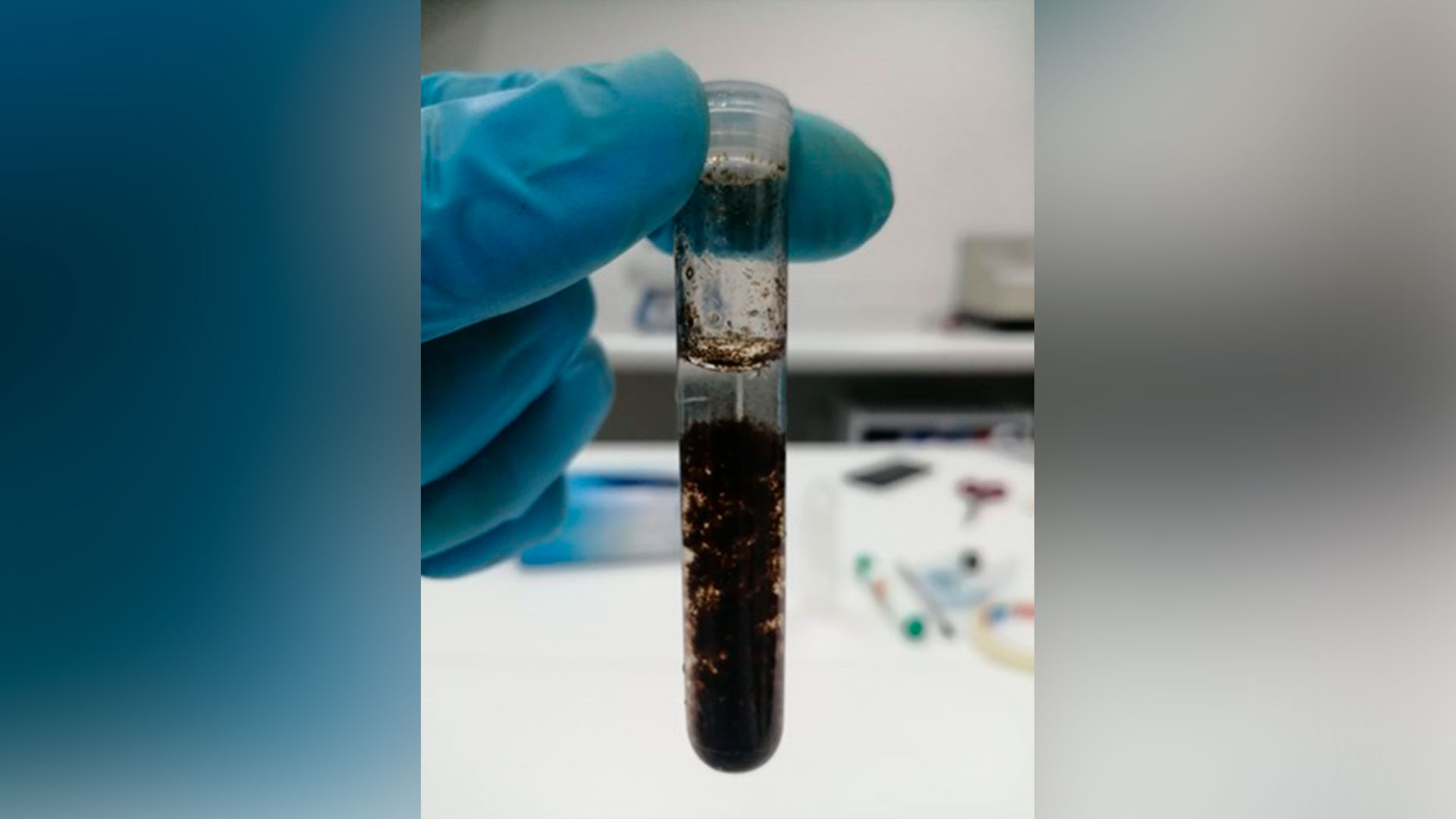 Investigación UAM finalista en Innóvate CHEC (2)