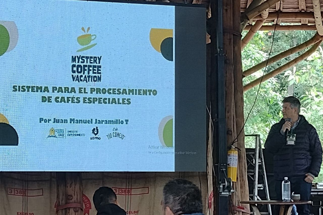 Estudiante del Doctorado en Ingeniería en Mystery Coffee Vacation