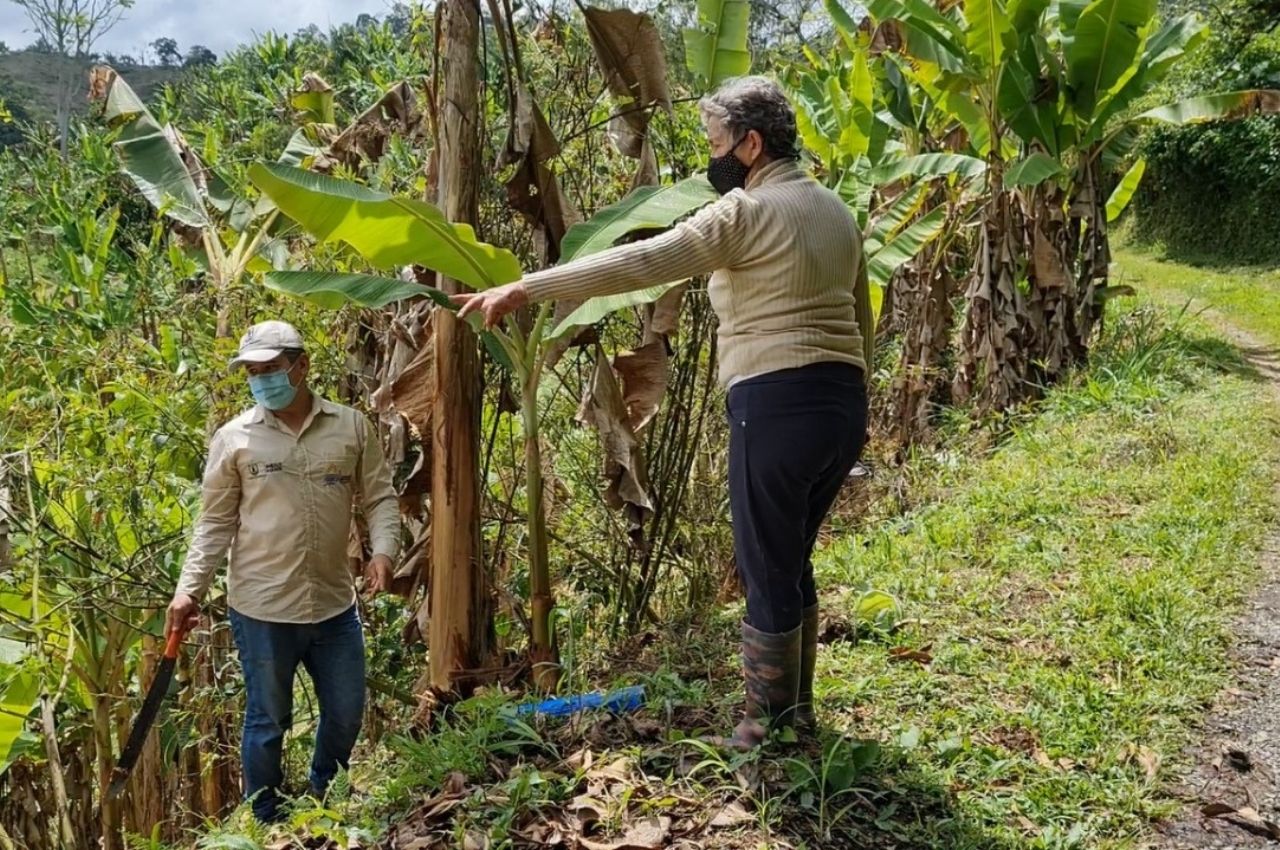 emprendimiento agroindustrial