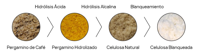 Plástico Biodegradable. Proceso de extracción de las microfibras de celulosa del pergamino de café