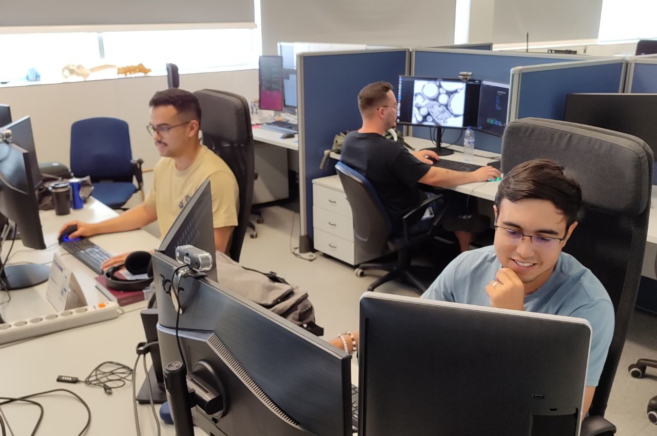 Los graduados UAM trabajan en Valencia, España.