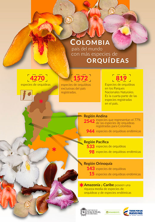 Orquídeas de Colombia