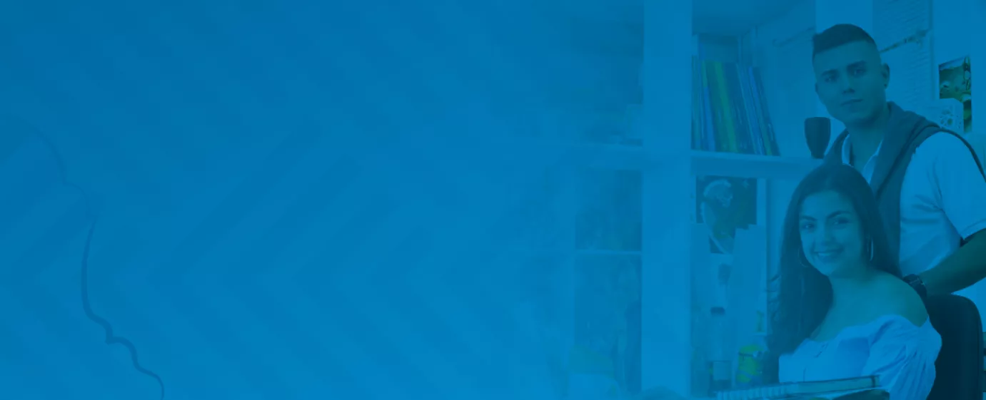 P&C Investigación 2024