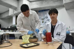 Destacada categorización en convocatoria de grupos de investigación de Minciencias