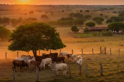 Desde el Doctorado en Sostenibilidad se evalúa la Ganadería sostenible en el Caribe
