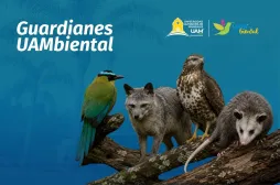 Guardianes UAMbiental