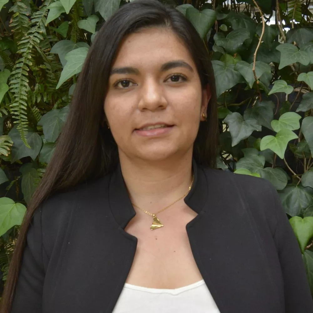 diana María Mendoza ríos 