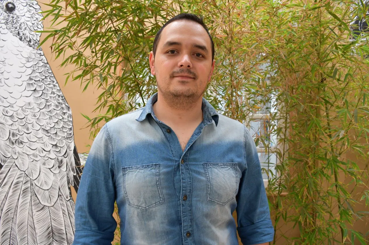 Coordinador de Ingeniería Electrónica