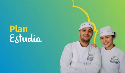 Plan Estudia