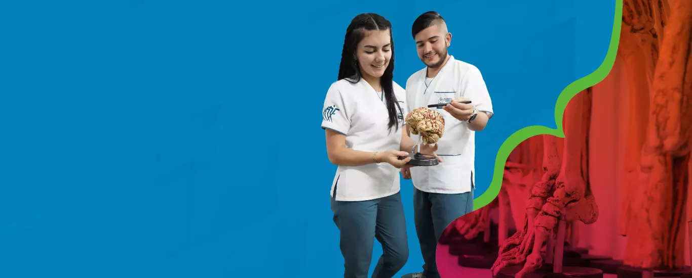 Fisioterapia