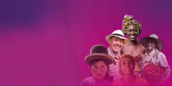 Imagen del banner