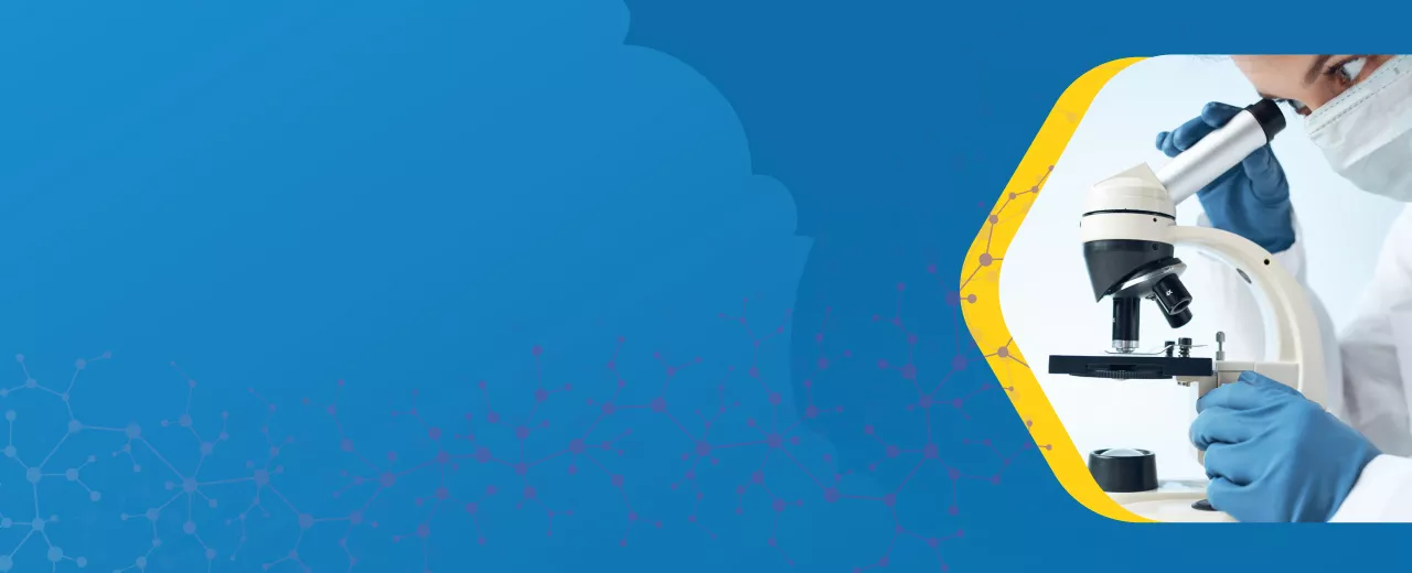 Imagen del banner