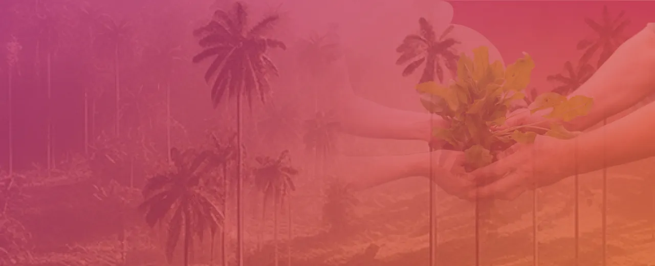 Imagen del banner