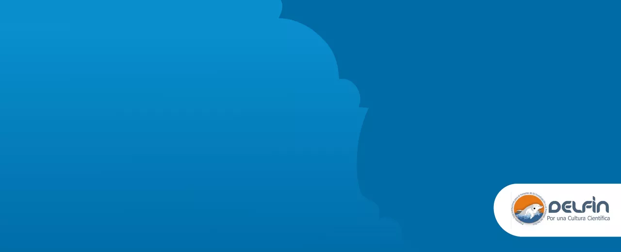 Imagen del banner