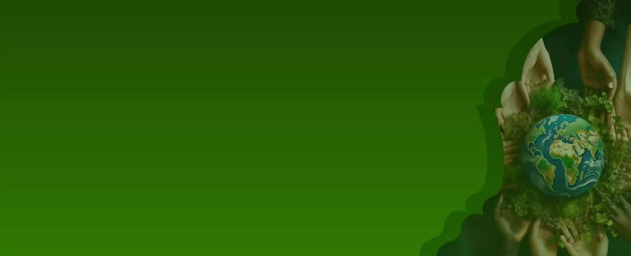 Imagen del banner