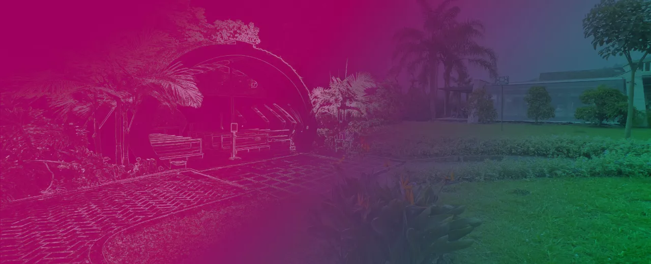 Imagen del banner