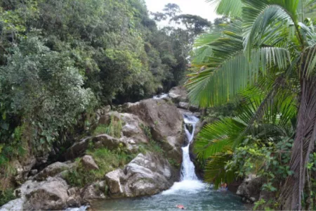 rio rio