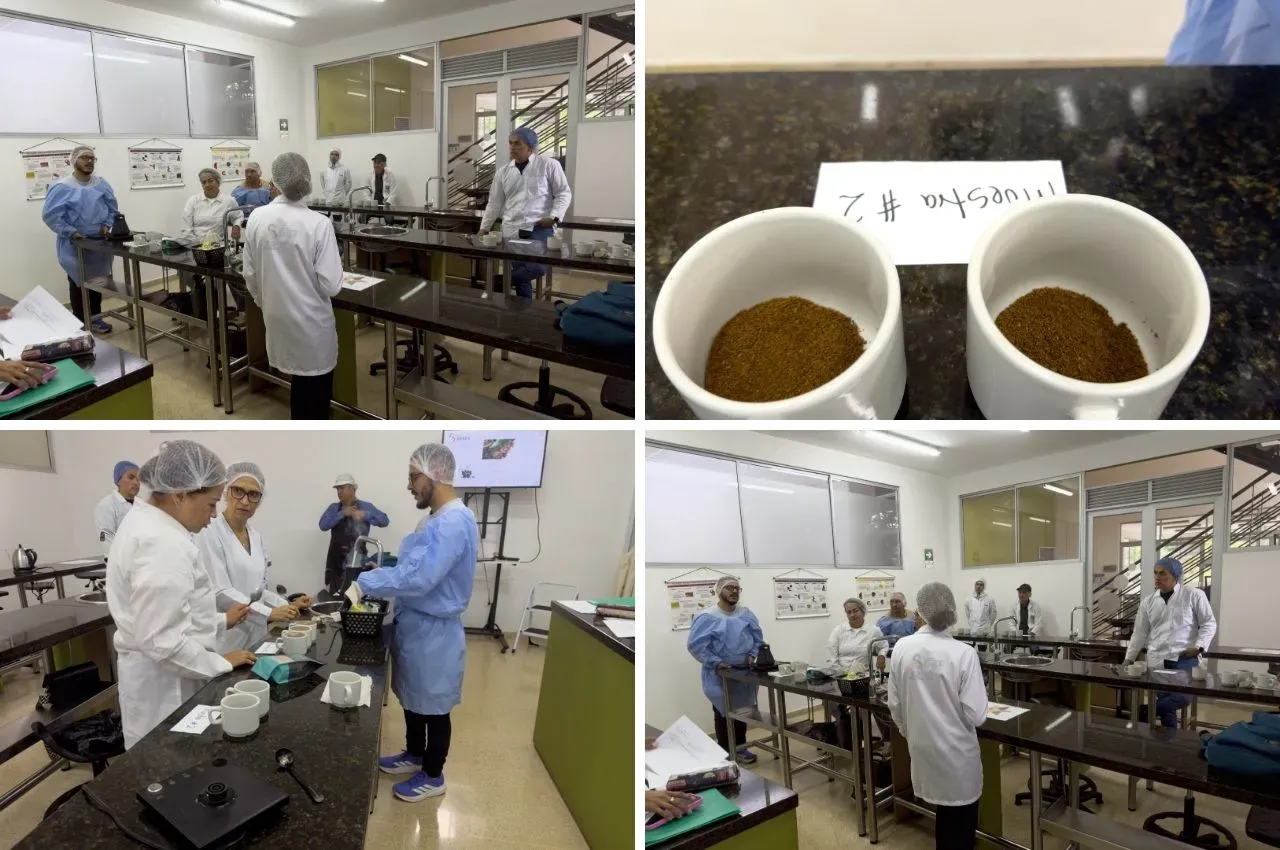 Proceso de catación de café.