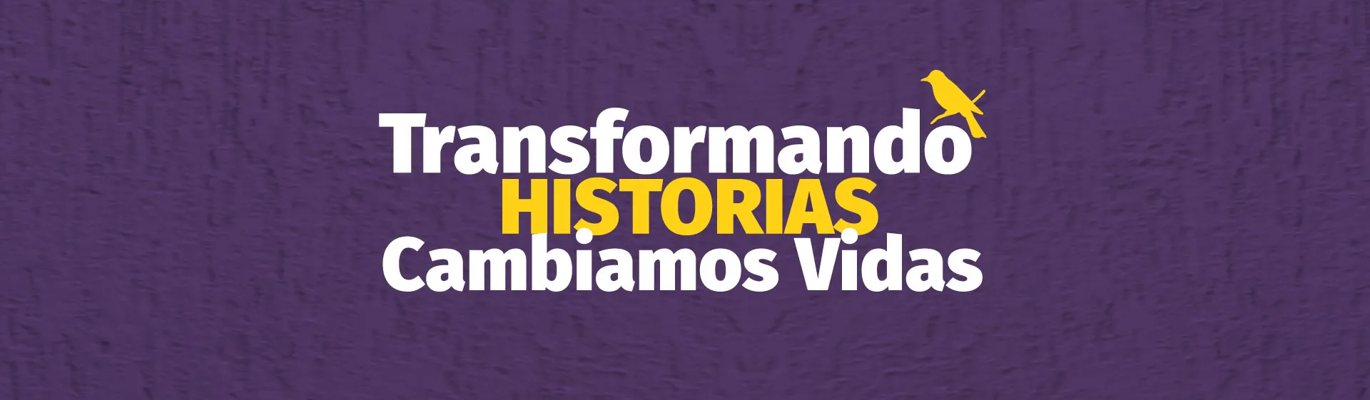 Imagen del banner